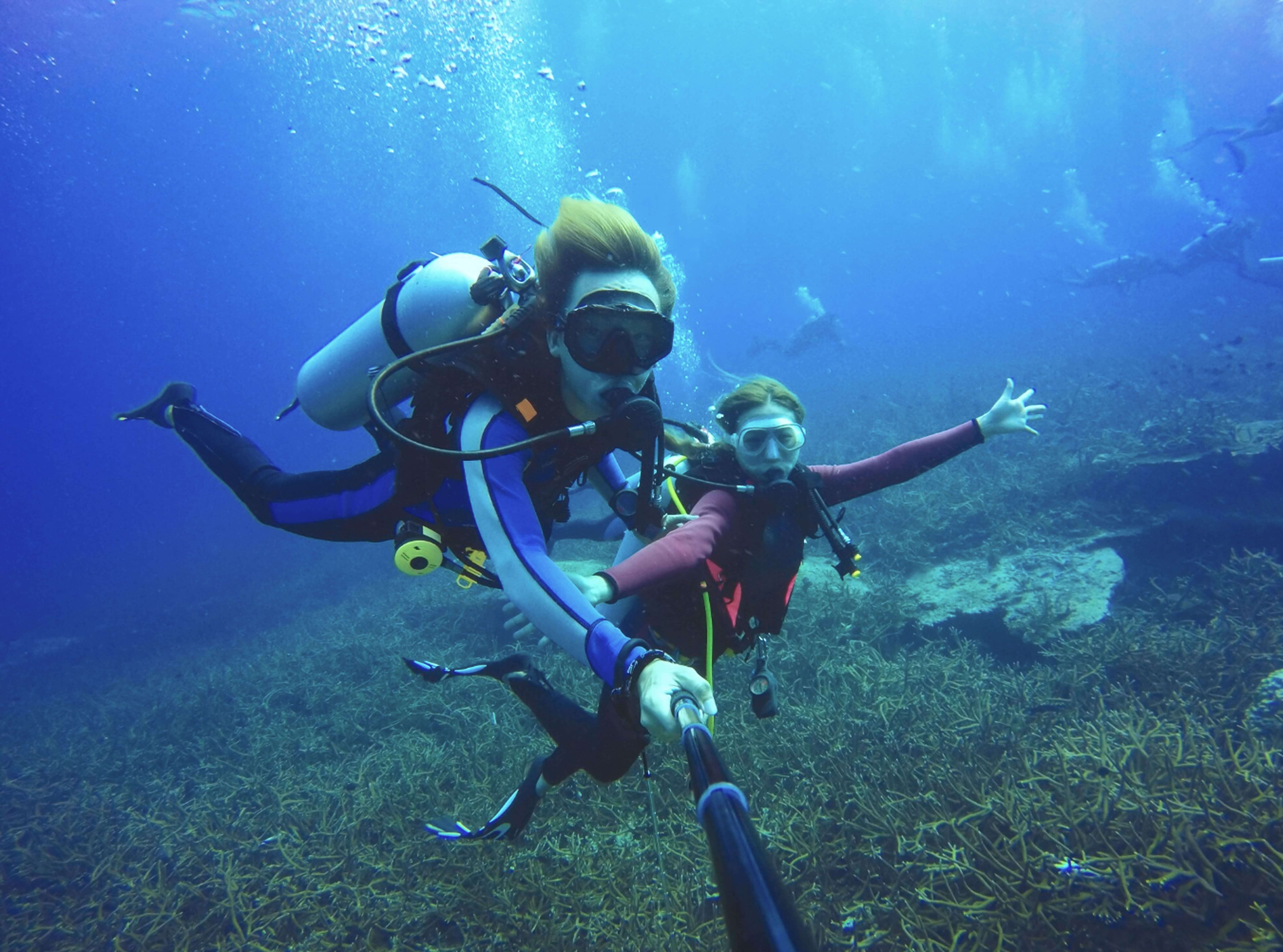 Image of free diving