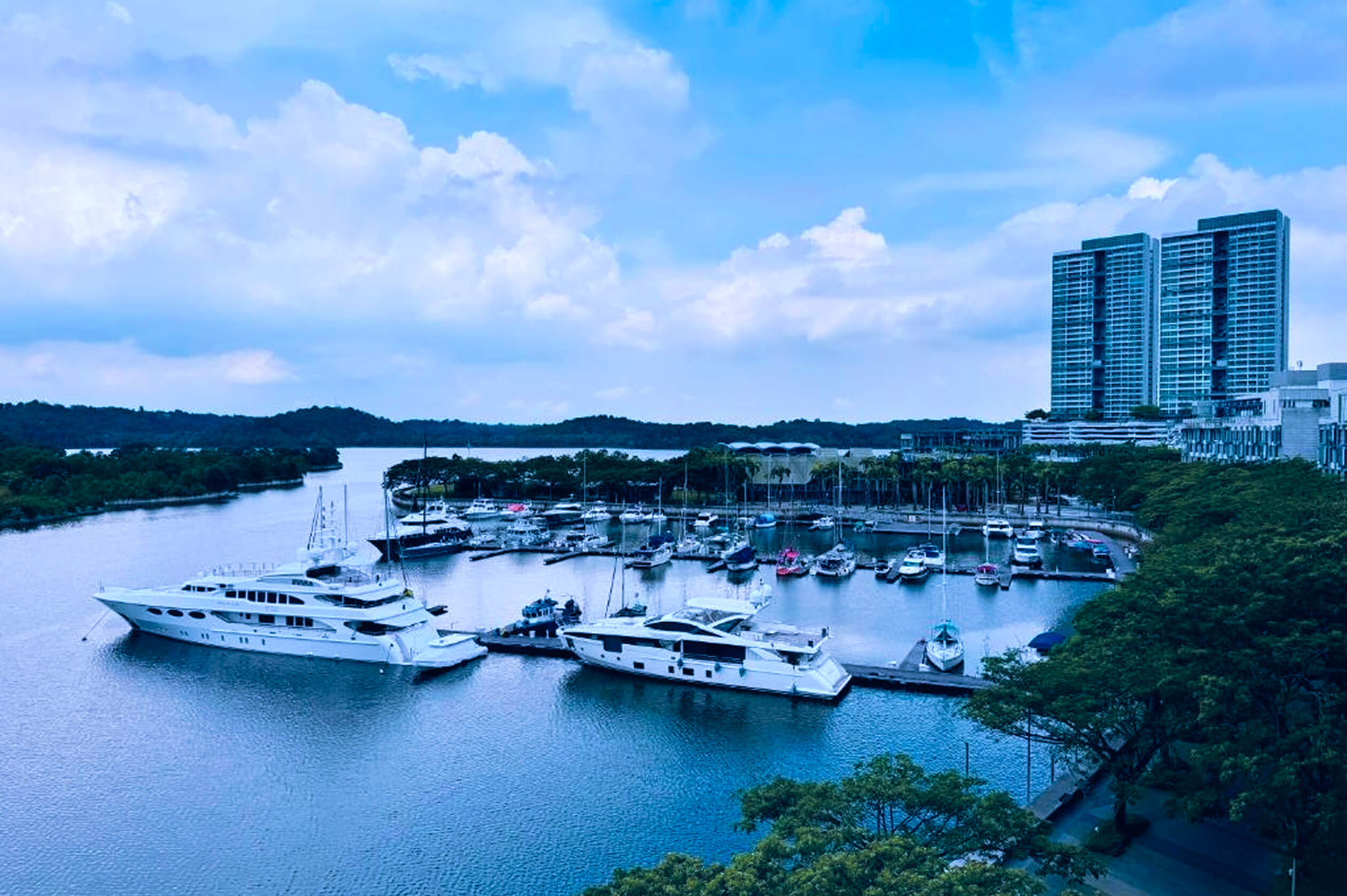 Image of Senibong Cove Marina