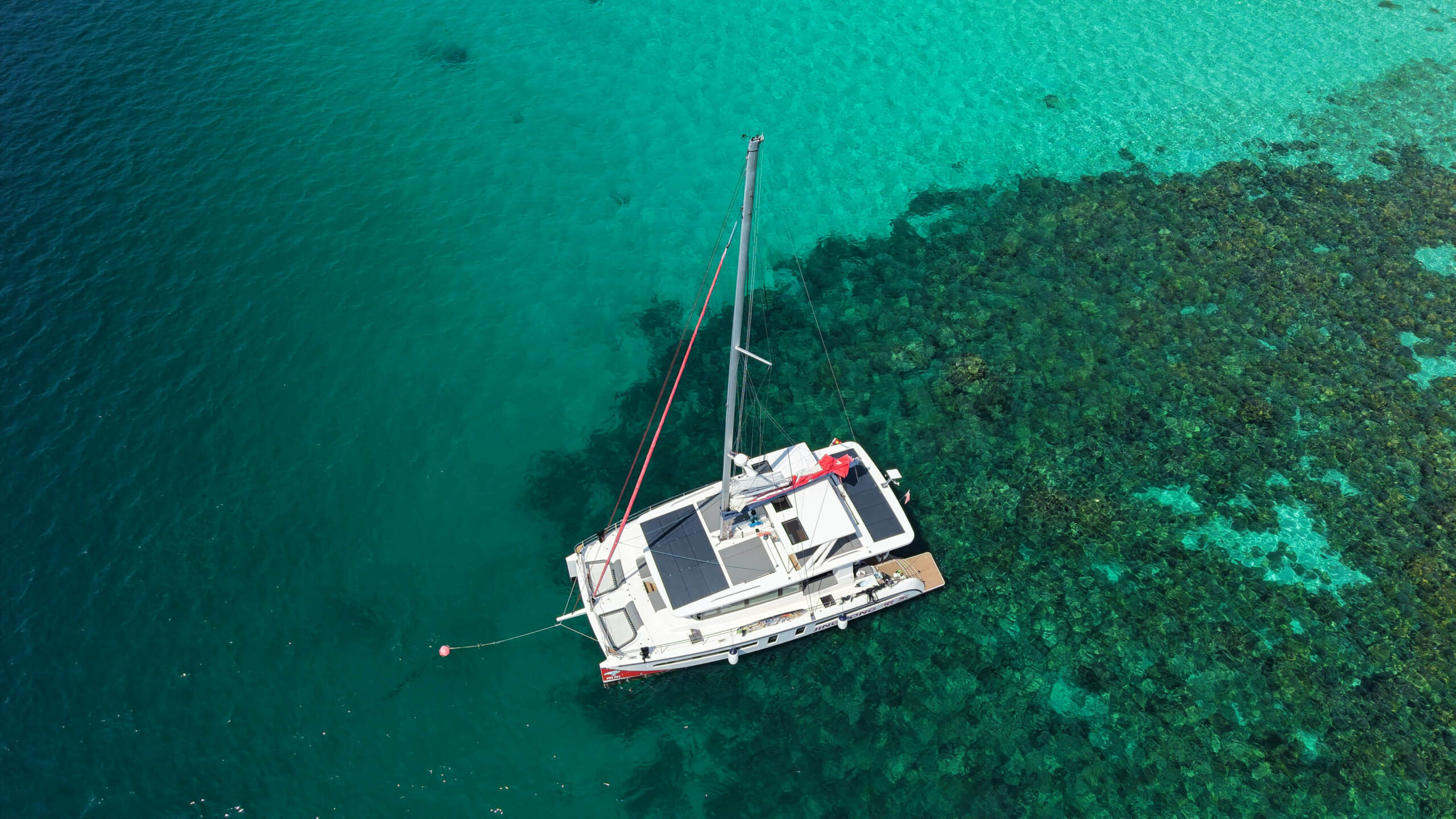 Image of Oceandiary